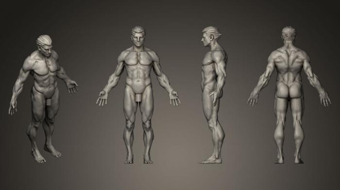 نموذج ثلاثي الأبعاد لآلة CNC تماثيل الناس دراسة تشريح الرجل